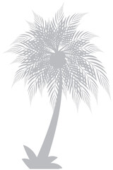 Gray palm tree or coconut tree on white background. Graphic pattern, background, nature, tropical plants.