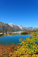 秋の八方尾根より白馬連峰を望む。白馬、長野、日本。10月上旬。