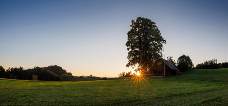 Emmental sunset with a tree and a sunstar