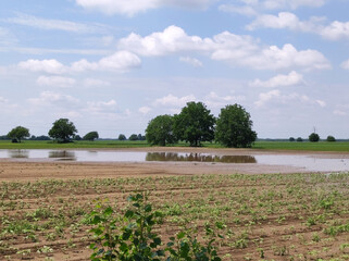 flooded agricultural fields due to heavy rains