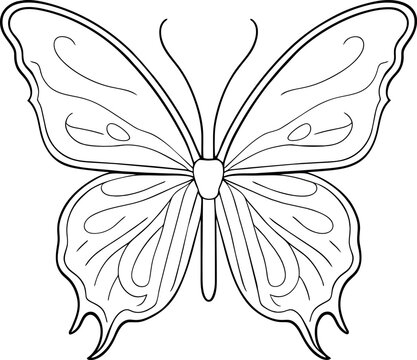 black butterfly tattoo art sticker on white bacground. butterfly line art vector on white background