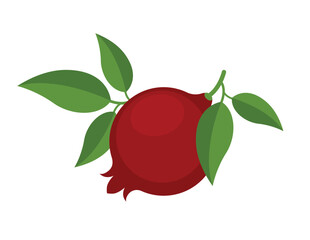 Ripe pomegranate with leaves, eps 10 format