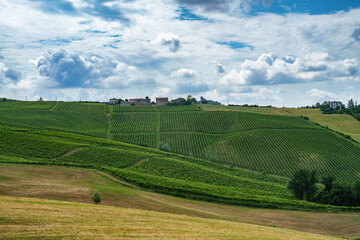 Hills of Oltrepo Pavese at June. Vineyards