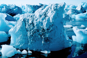 Visualizing the Results of Climate Shifts