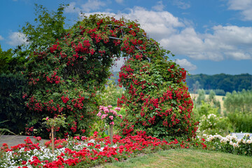 A garden with red and white flowers and a green arch next to a lush green field