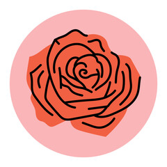 Rose flower color concept