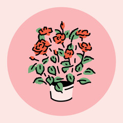Roses houseplant color element. Indoor decorative plant. Digital illustration for web page, mobile app, promo.