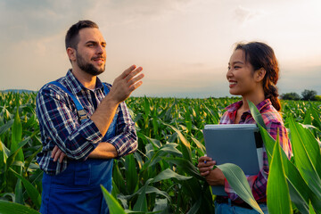 Young multi-racial business partners in a cornfield, satisfied with progress, discuss future...