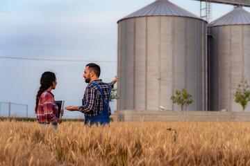 A knowledgeable Chinese agronomist and silo owner meet in a wheat field to assess its readiness for harvest. Engaged in discussion, they compare data and observations, ensuring a thorough evaluation. © DusanJelicic