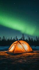 tent in the forest at night with northern lights.