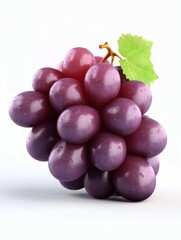 realistic fruits in white background