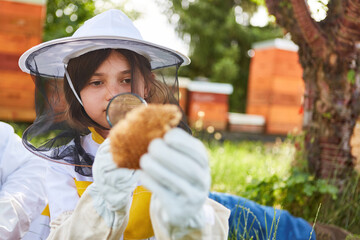 Girl with magnifying glass examining honeycomb