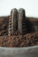 dark cream chocolate biscuits and chocolate powder in a jar 