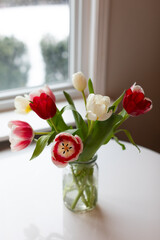 A portrait of tulips on a vase by the kitchen window view.