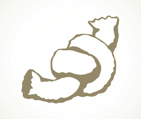 The lace is tied to a knot. Vector drawing