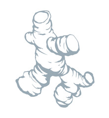 Ginger. Vector drawing food object
