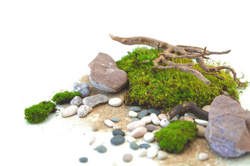 Green moss, stones, sand and crooked driftwood on a white background.