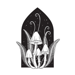 Hand drawn poisonous mushrooms and fern over night sky with stars in graphic style isolated vector illustration © croisy