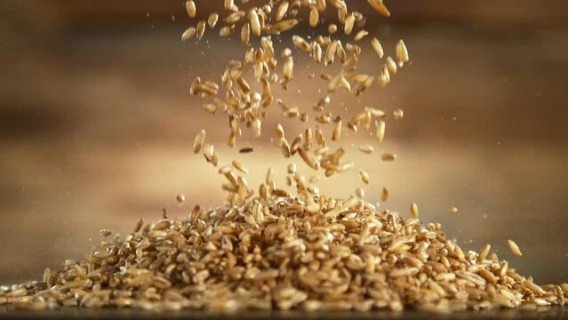Falling of grain oats close-up, macro shot. Filmed on high speed cinematic camera at 1000 fps.