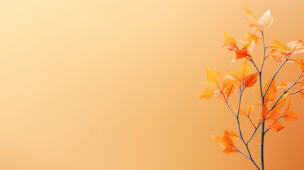 Naklejka na ściany i meble a minimalist autumn background with copy space