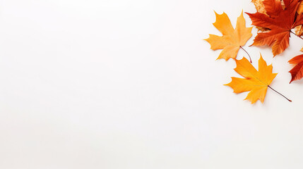 Naklejka na ściany i meble a minimalist autumn background with copy space