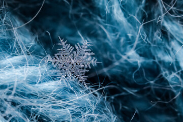 
macroscopic image of a snowflake, macro photography of a snowflake