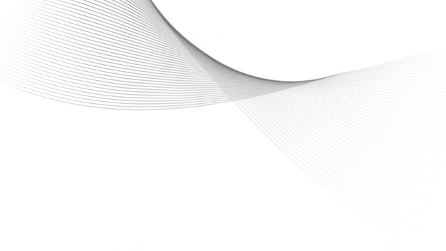 Digital black and white waves line form motion and movement dissolve in the depth of field, abstract technology and science on white background