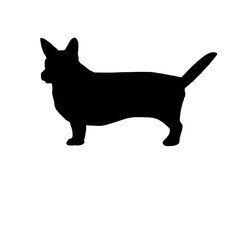 black dog silhouette