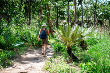 Naklejka na ściany i meble Tourists taking a nature walk on a forest trail at Sai Thong National Park, Chaiyaphum province, Thailand, 27 July 2023.