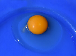 fried eggs