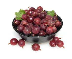 Gooseberry, Ribes, uva-crispa