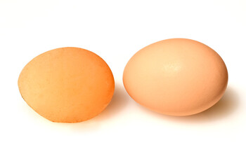 Wind egg, Abortivei, Windmole, Egg