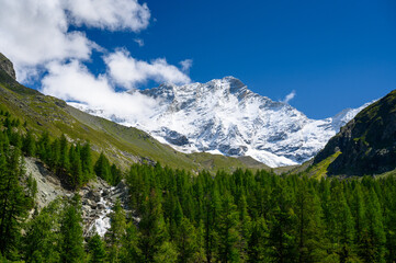 Fototapeta na wymiar peak of Weisshorn seen from Val d'Anniviers in Valais