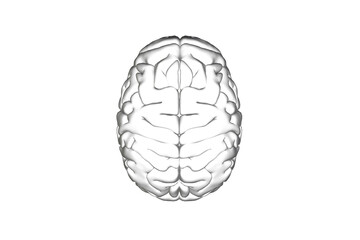 Digital png illustration of transparent brain on transparent background