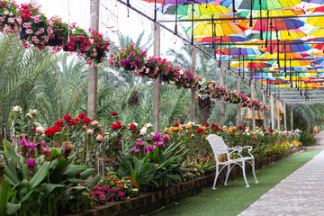 Colorful umbrellas adorned in the garden Leave it for people to take photos.