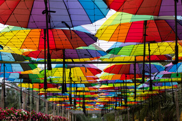 Colorful umbrellas adorned in the garden Leave it for people to take photos.