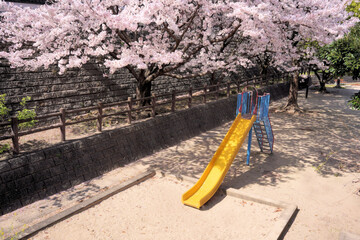 満開の桜の下の滑り台