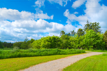 デンマークの青空と草原
