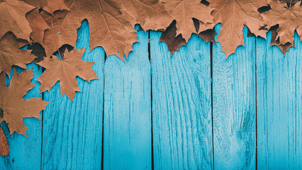 Autumn Brown Leaves on Blue - Turquoise Wooden Background with empty space.
