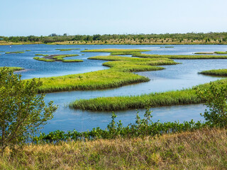 Coastal lagoon, once farmland, with grassy islets at low tide in a county nature preserve in southwest Florida. For motifs of restoration and wildlife habitat, recreation, environmental protection.