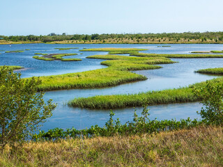 Coastal lagoon, once farmland, with grassy islets at low tide in a county nature preserve in...