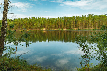 Obraz premium beautiful sunset at forest lake. Pine forest and sky reflecting in water