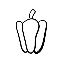 Sweet pepper with a stalk. Single hand drawn vector illustration. Monochrome sketch illustration of a vegetable on a white background. Isolated object for your design.