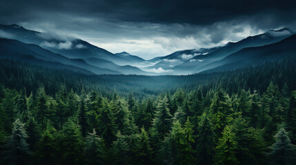 Naklejka premium landscape with fog