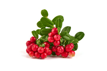 Fresh wild lingonberry berries with leaves, isolated on white background.