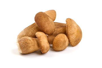 Boletus edulis (king bolete) isolated on white background. Close up.