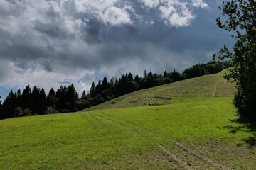 Landscape with summer upland pasture used as skiing resort during the winter, mixed forest line in background. cloudy skies before the rain. Location near parnica, orava region, slovakia.