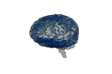 Digital png illustration of grey-navy blue human brain on transparent background