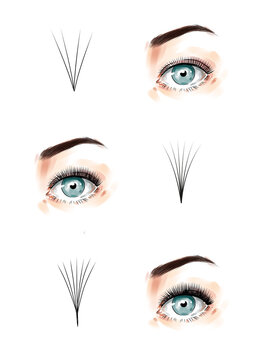 Volume Eyelash Extension Application And Style Guide. Direction Look Scheme And Illustration Template. Infographic Vector Tips And Tricks Poster For Lash Extensions Salon Procedure On White Background