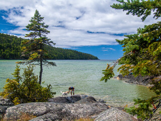 person with their dog facing a beautiful northern Ontario lake